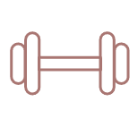 Weights Icon